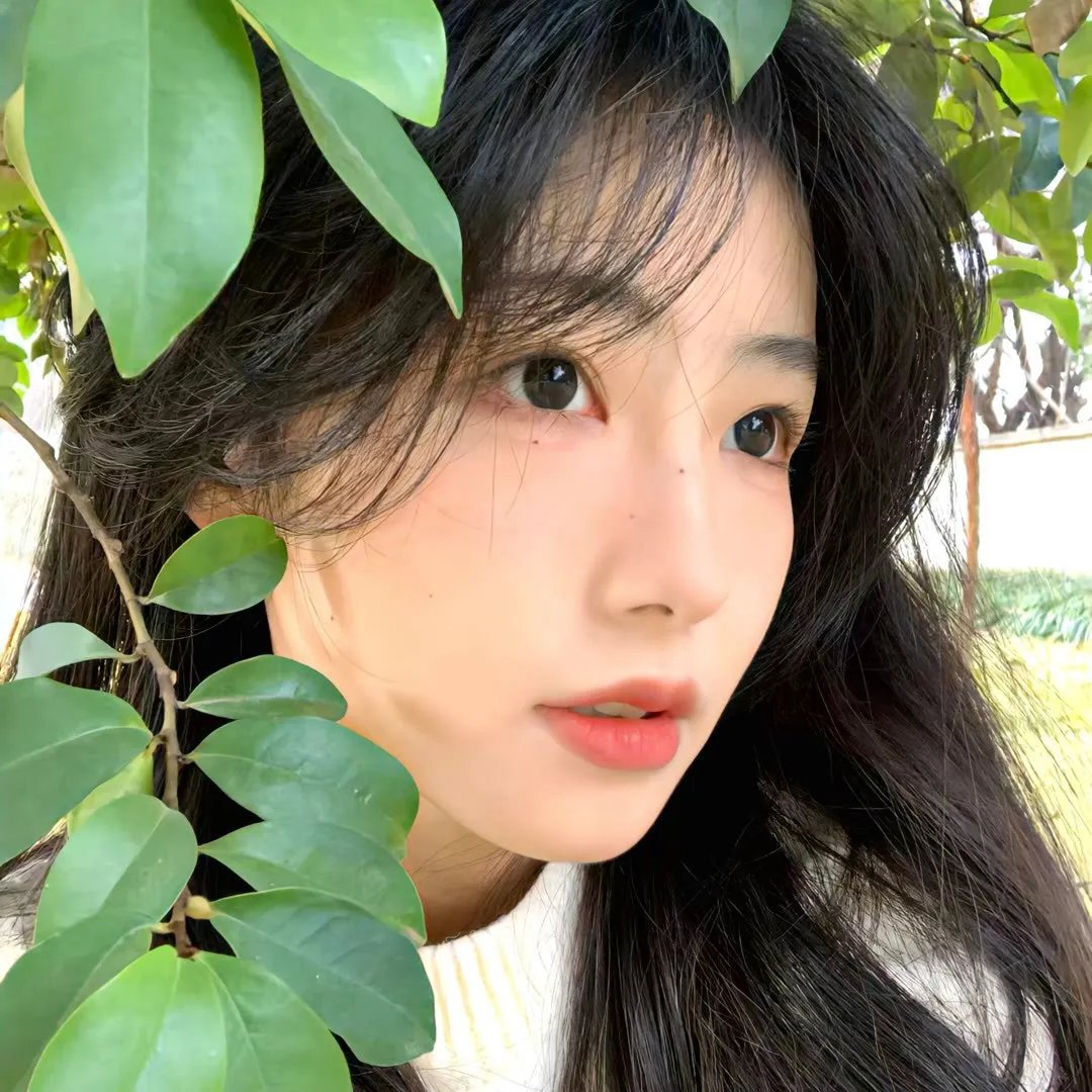 穹顶之下第一季